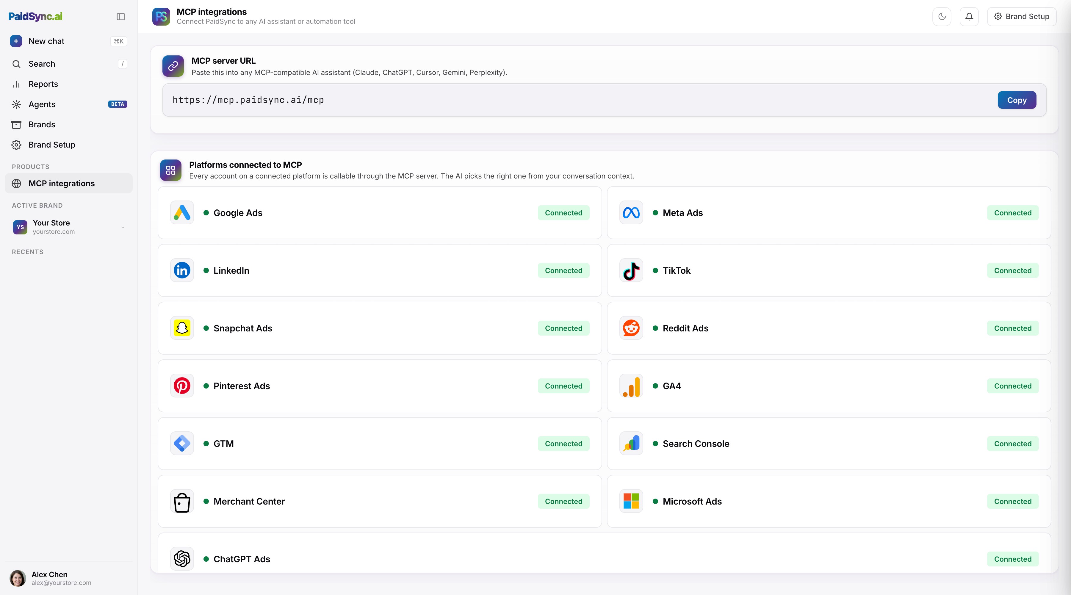 PaidSync workspace showing all 13 ad platforms connected to the MCP server